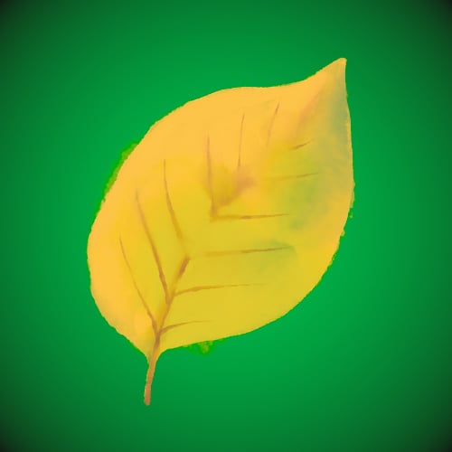 A leaf symbol for Nature Magic