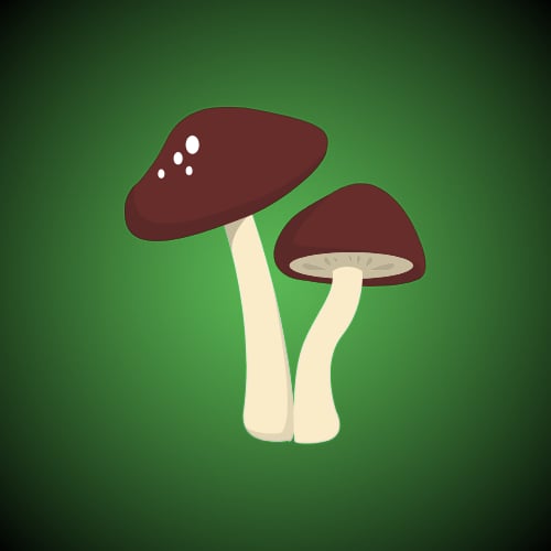 A mushroom symbol